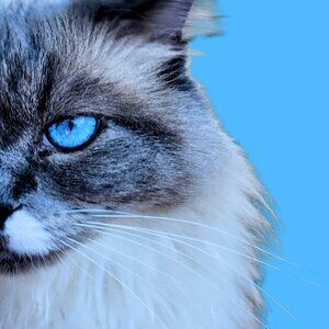 Meet your Posher, Em